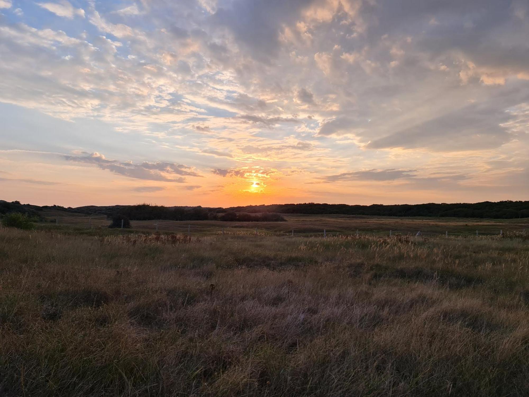 Olmenduin Chalet Olm Zeeland Serooskerke  Kültér fotó
