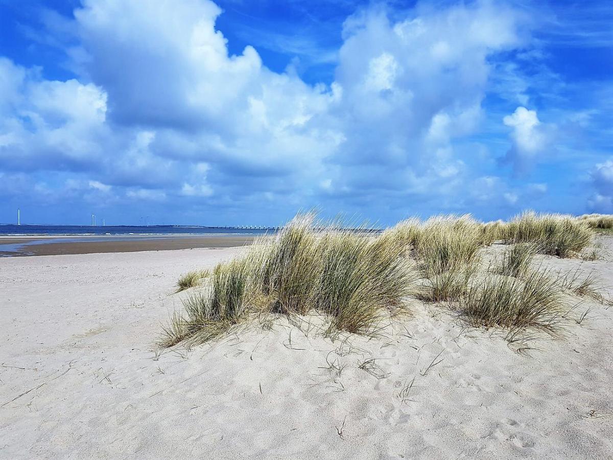 Olmenduin Chalet Olm Zeeland Serooskerke  Kültér fotó